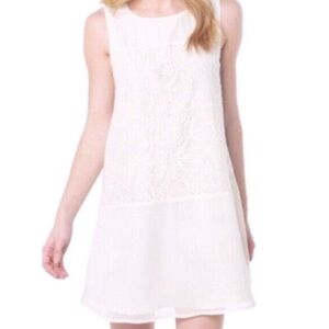 NWT Cupcakes & Cashmere | Lacey Cream Shift Dress